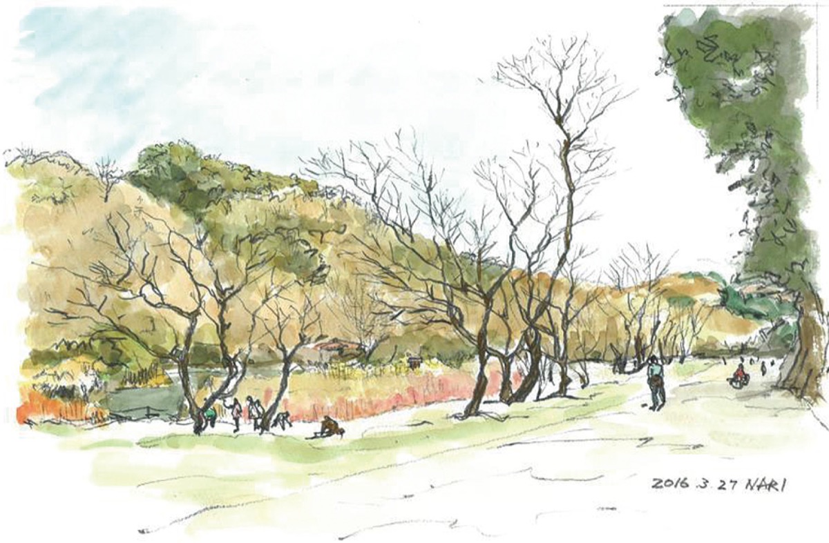 逗子の景観まちづくり瓦版　第五十一号