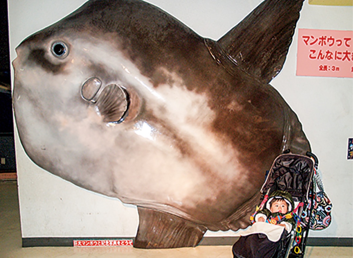 ありがとうマリンパーク