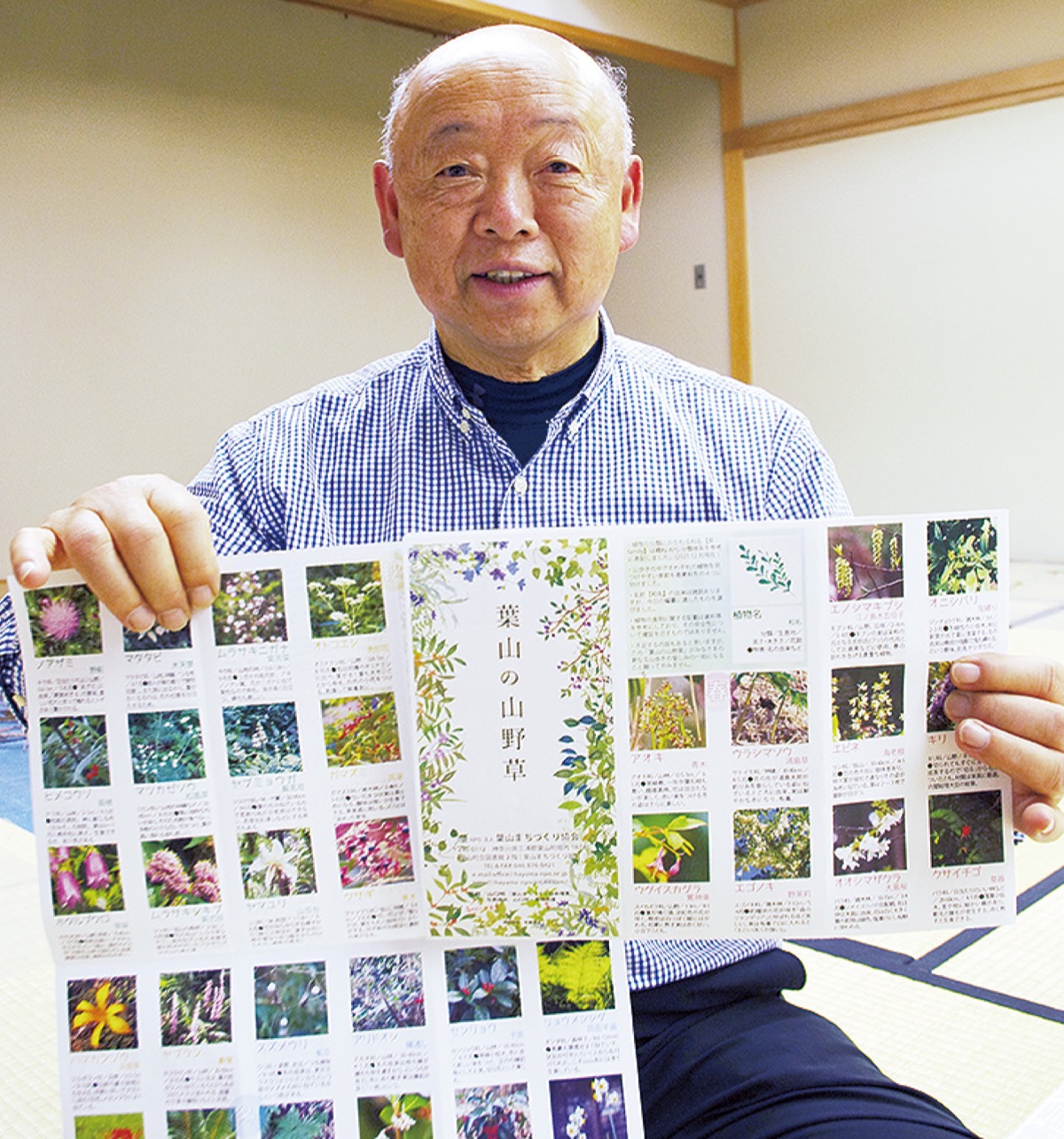 葉山の山野草1枚に (写真1)