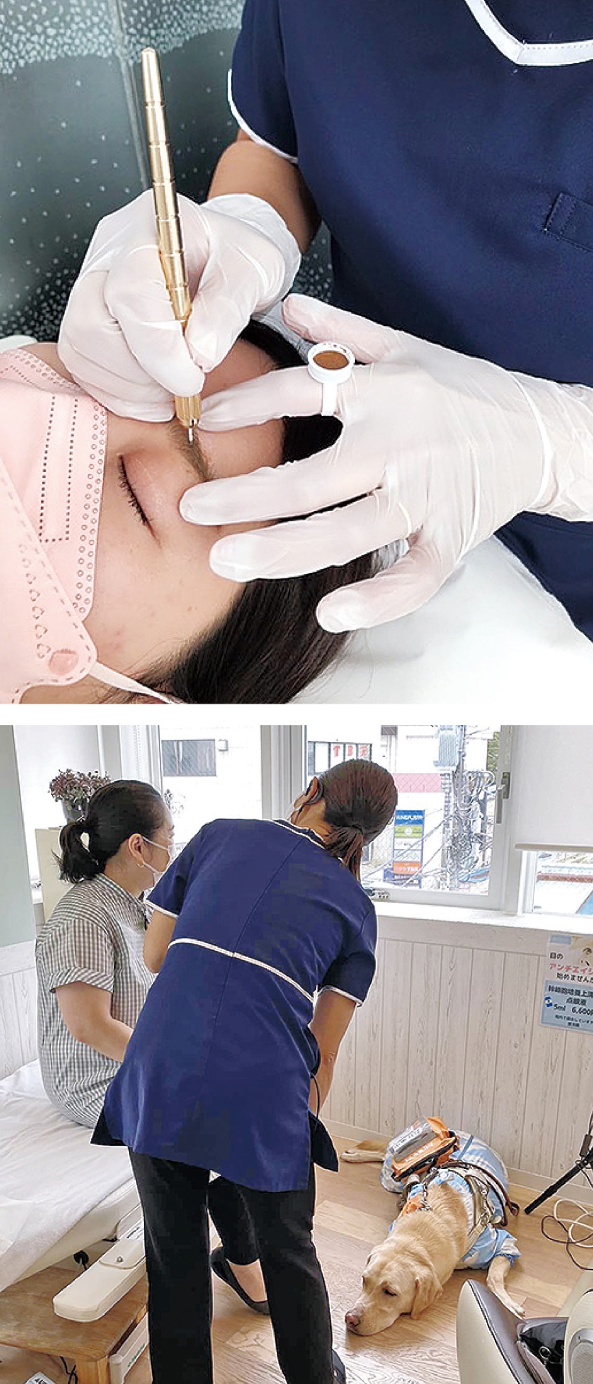 医師の指示のもと看護師が施術する（上）、盲導犬とともに来院も可能