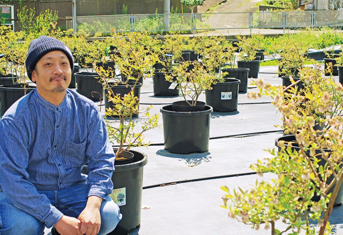 名産｢葉山ブルーベリー｣目指す