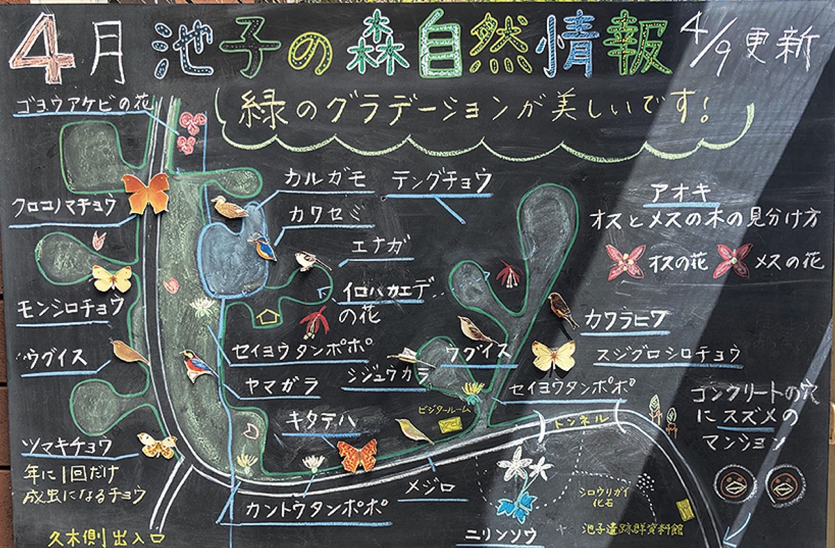 海ごみＡＩの可能性考える