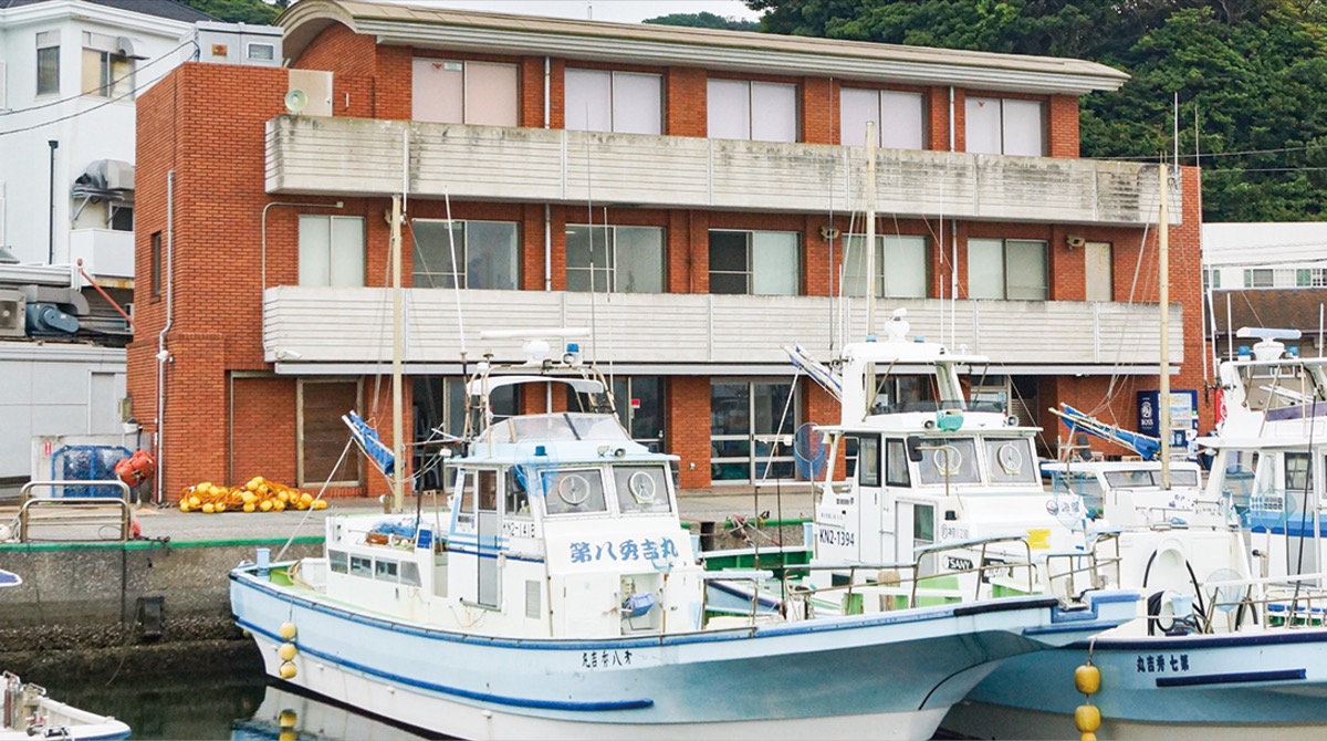 ｢湘南漁協」来年発足へ