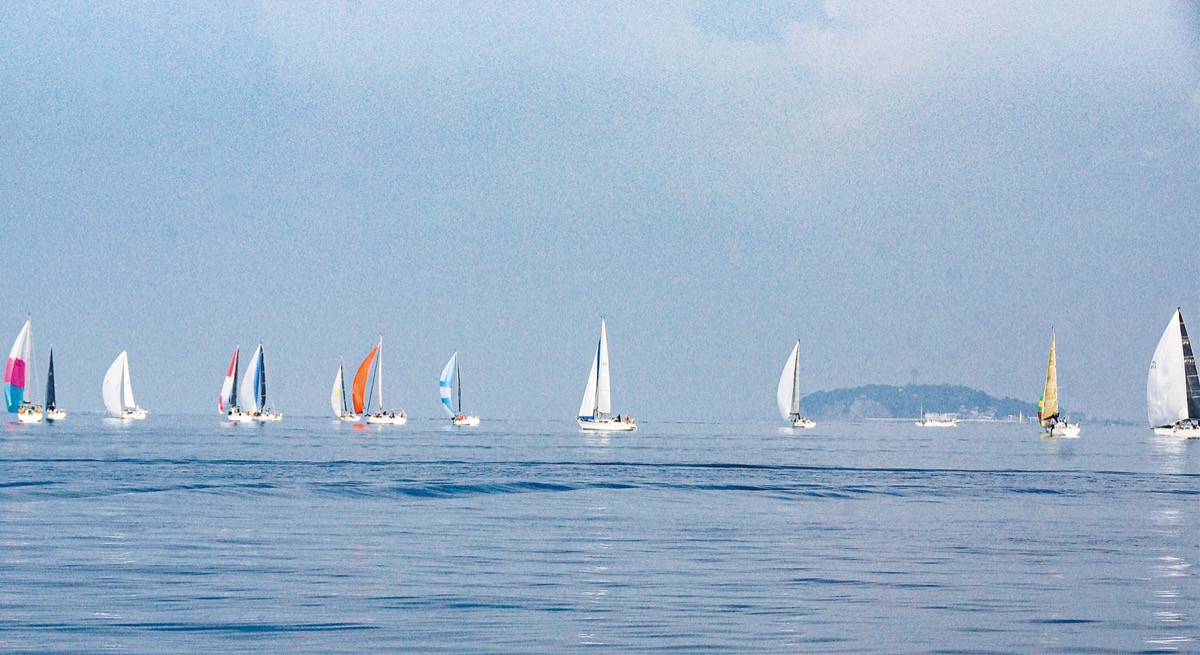 穏やかな海に多彩な帆