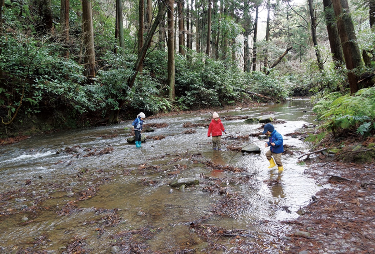 野外保育の魅力を知る