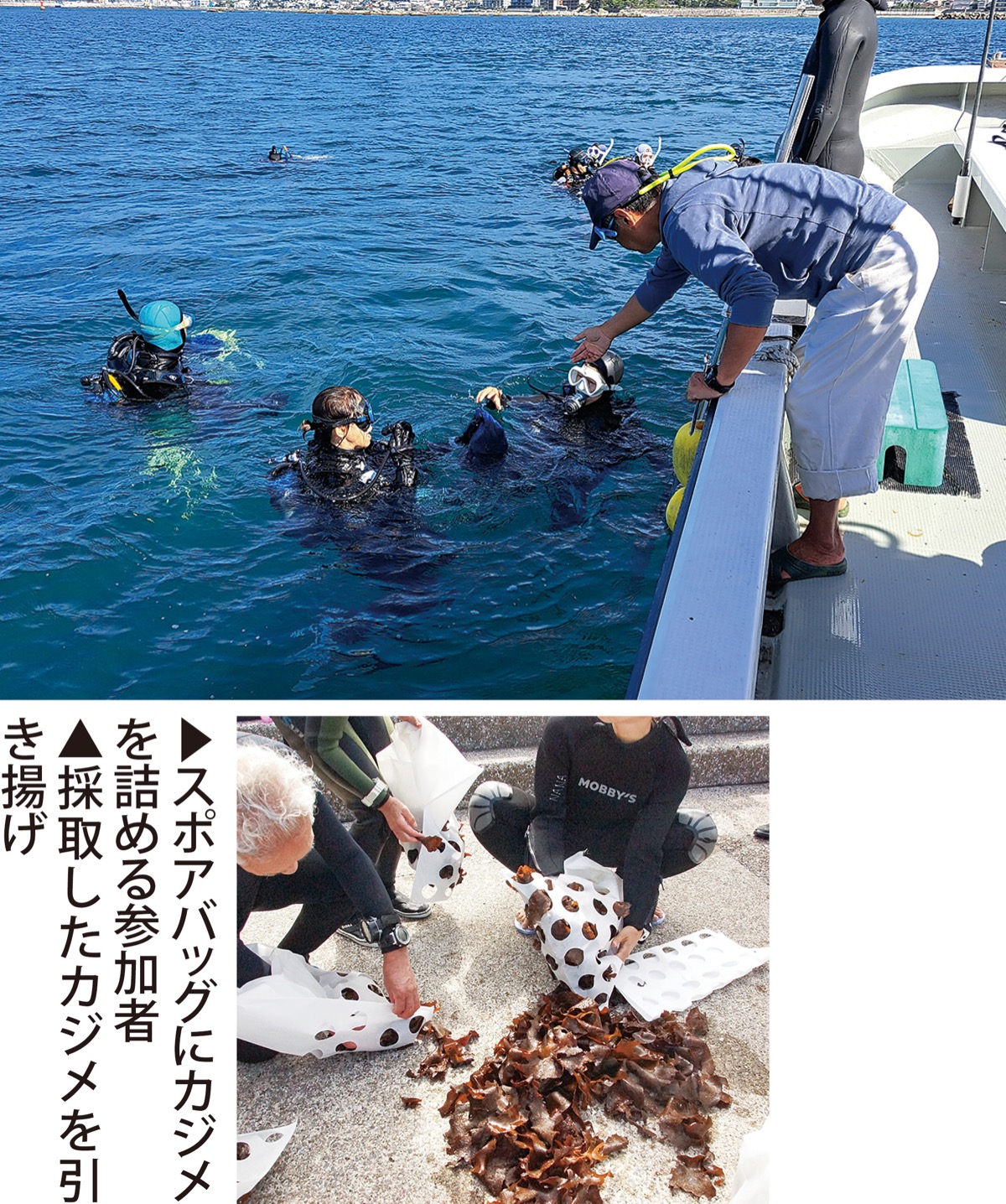 藻場保全活動に成果