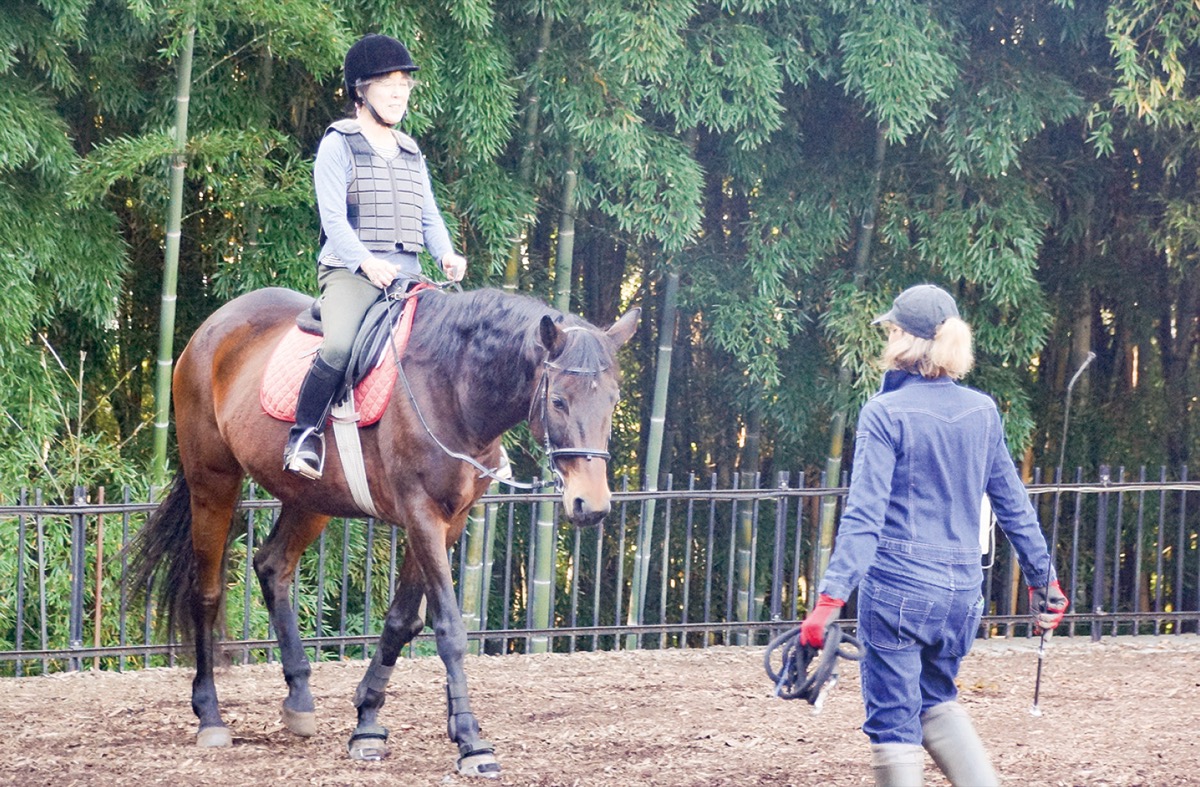 乗馬練習の風景