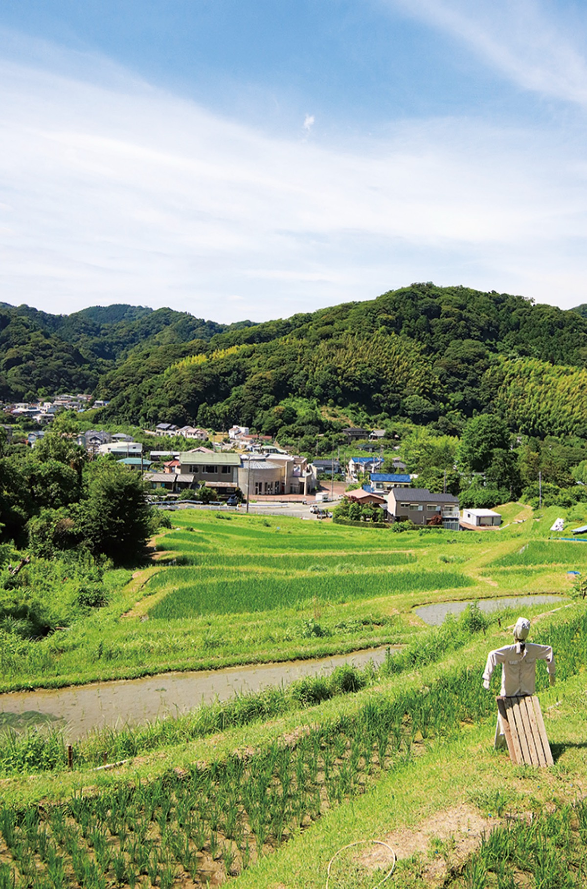 棚田の歴史 肌で感じて (写真2)
