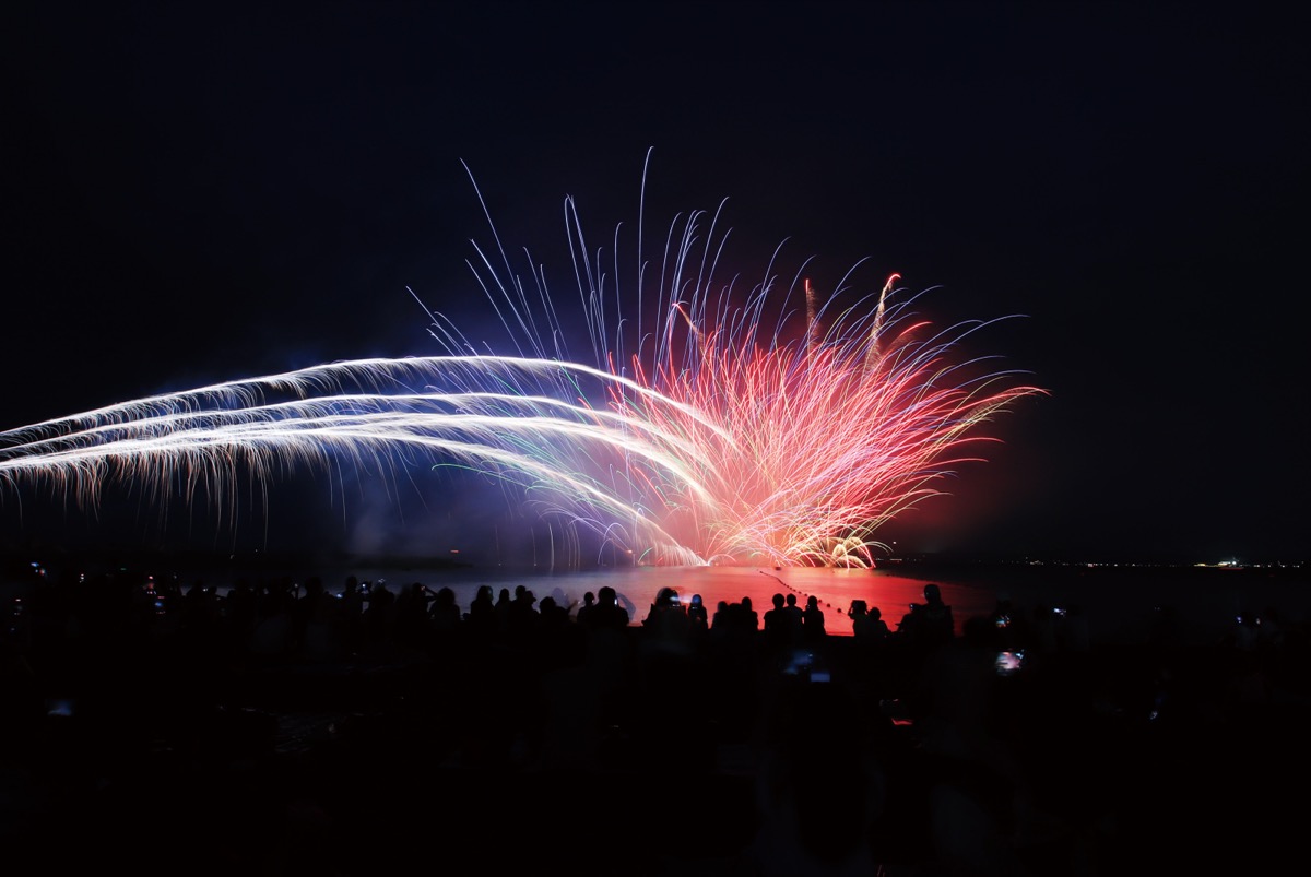 幻想的な大輪、夏告げた (写真2)