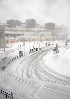 雪が降り積もった辻堂駅北口バス乗り場