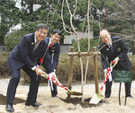 植樹する（左から）鈴木市長、渡邊会長、田島透ガバナー補佐