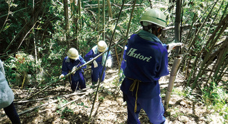 竹の伐採に取り組む生徒ら