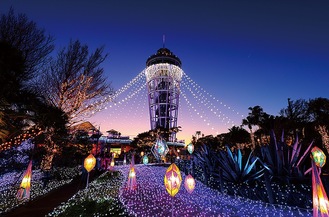 藤沢市 冬の観光 分散型 へ 期間や会場拡大で３密回避 藤沢 タウンニュース