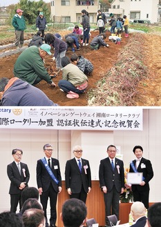 子どもと芋掘りする旧藤沢グリーンＬＣのメンバー（上・２０１８年）とイノベーションゲートウェイ湘南ＲＣの認証伝達式