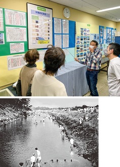 引地川の歴史を解説する運営委員の永井さん（上）と「堰開け」の魚獲りで賑わう引地川（提供）