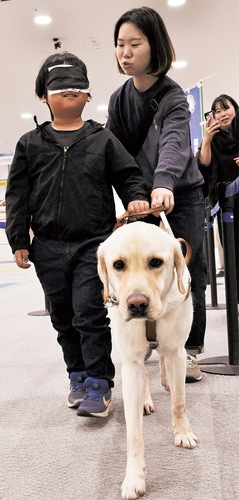 指導員協力の下、アイマスクをつけて盲導犬と一緒に歩く子ども