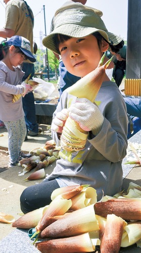 収穫したタケノコの皮を丁寧に剥がしていく子ども