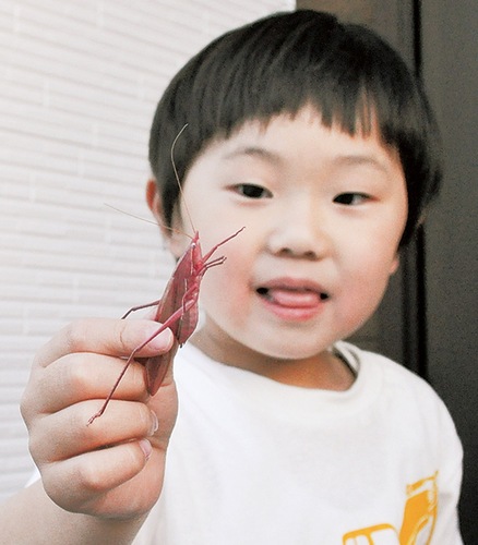 珍しいバッタを捕まえ、ご機嫌な表情の秋空君