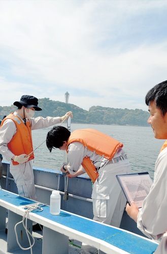 採取した海水を確認する市職員