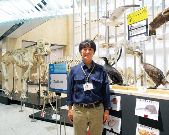江の島にいる鳥のはく製の前に立つ田中さん
