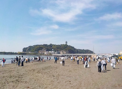 海岸清掃に精を出すボランティア（昨年）＝市提供