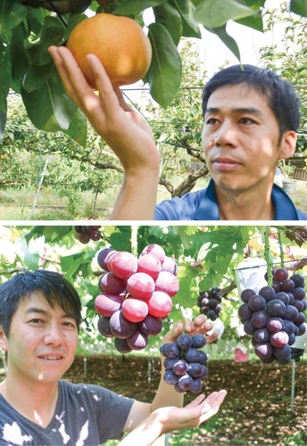 Aoki果樹園の青木さん(上)、安田果樹園の安田さん