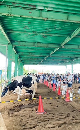 過去開催の会場内(市提供)