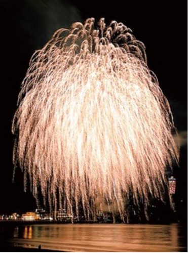 江の島の夜空に輝く大輪の花火（過去／提供）