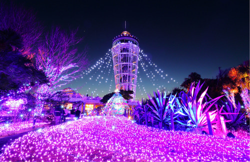 江の島一帯が光に包まれた空間に（江ノ島電鉄（株）提供）