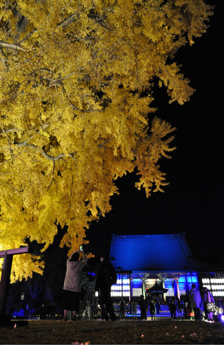 昨年初開催された「遊行の光」