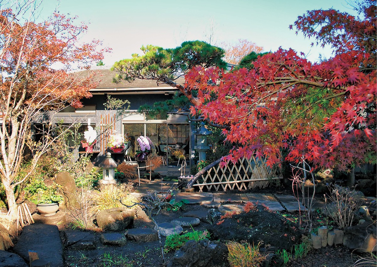 植木屋の庭がカフェに