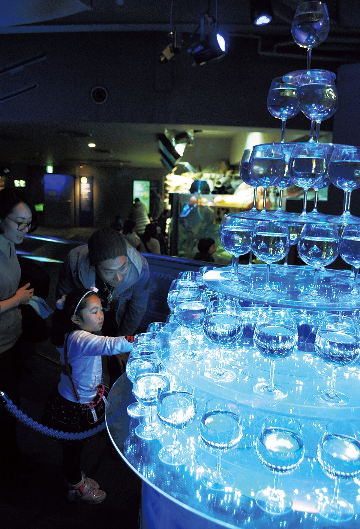 あ、クラゲだ」 | 藤沢 | タウンニュース