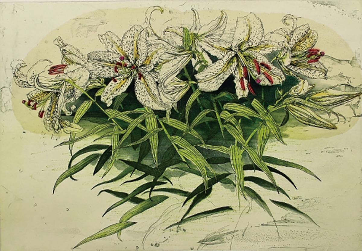 緻密な表現 豊かな色彩