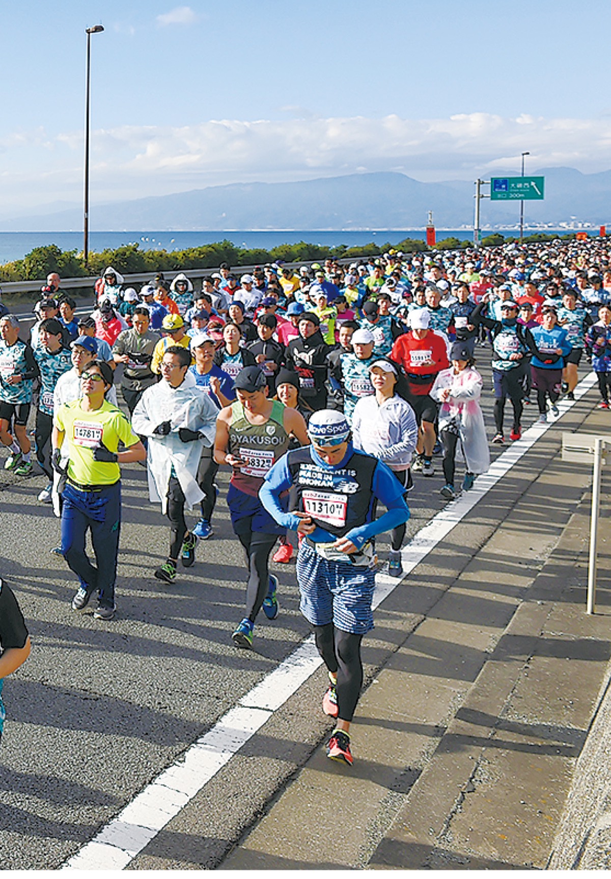 湘南マラソン募集開始