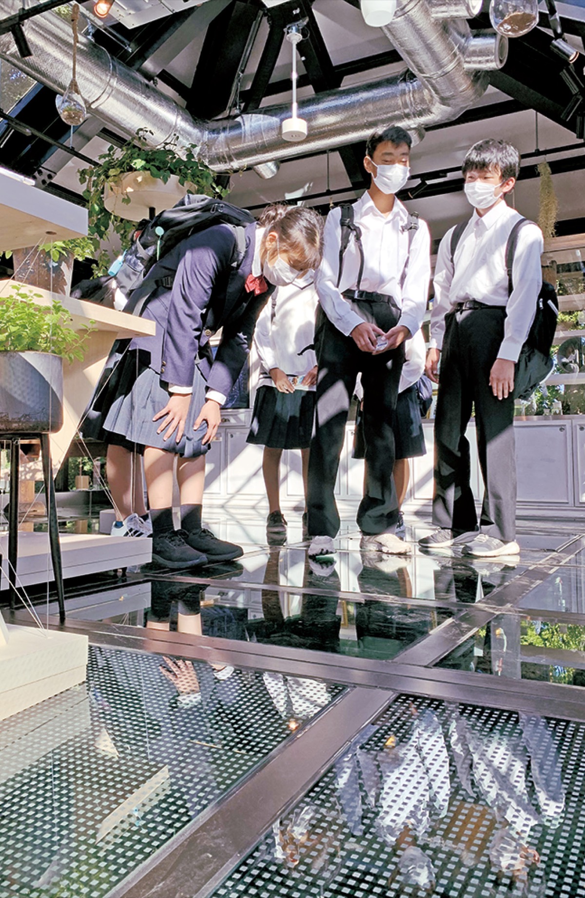 壁や床がガラス張りで遺構を覗き見ることができる