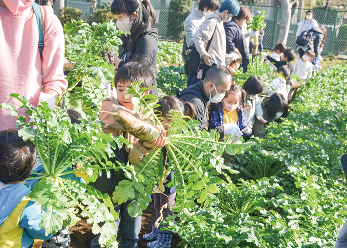 親子で協力して収穫
