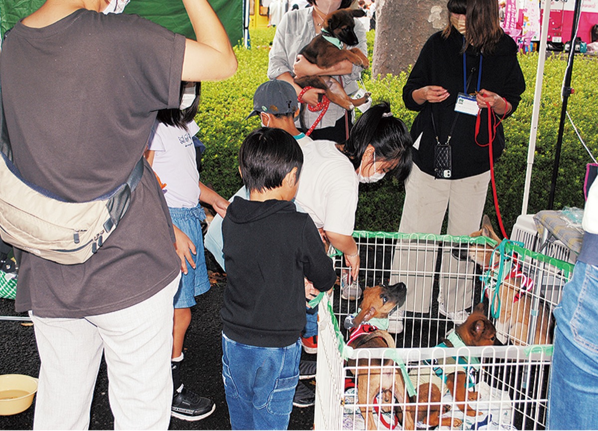 保護犬と触れ合う子どもら