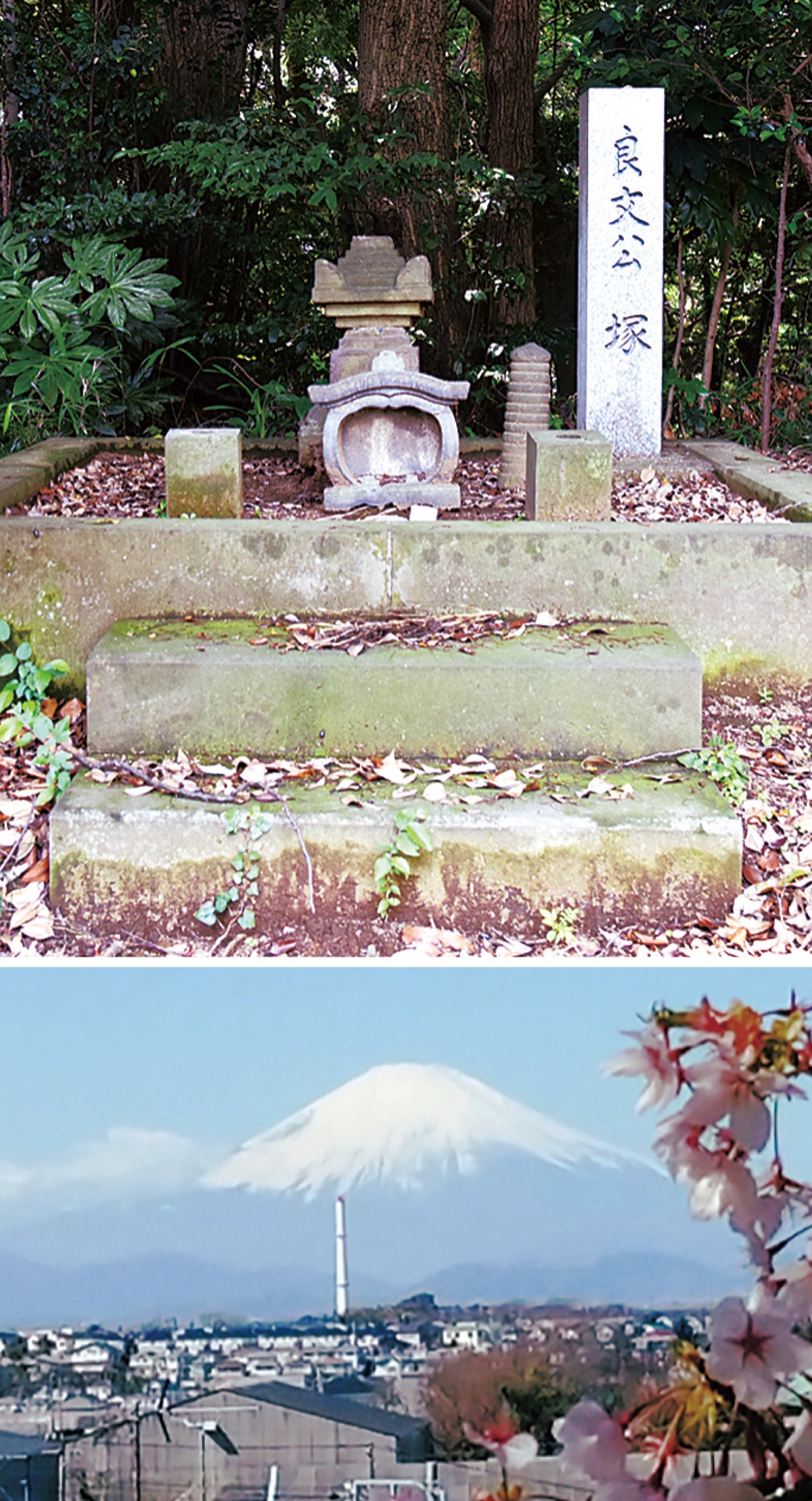村岡五郎の塚(上)天気のいい日は富士山の姿も(ニ伝寺提供)浄土宗・二伝寺渡内3の13の10466・23・8258