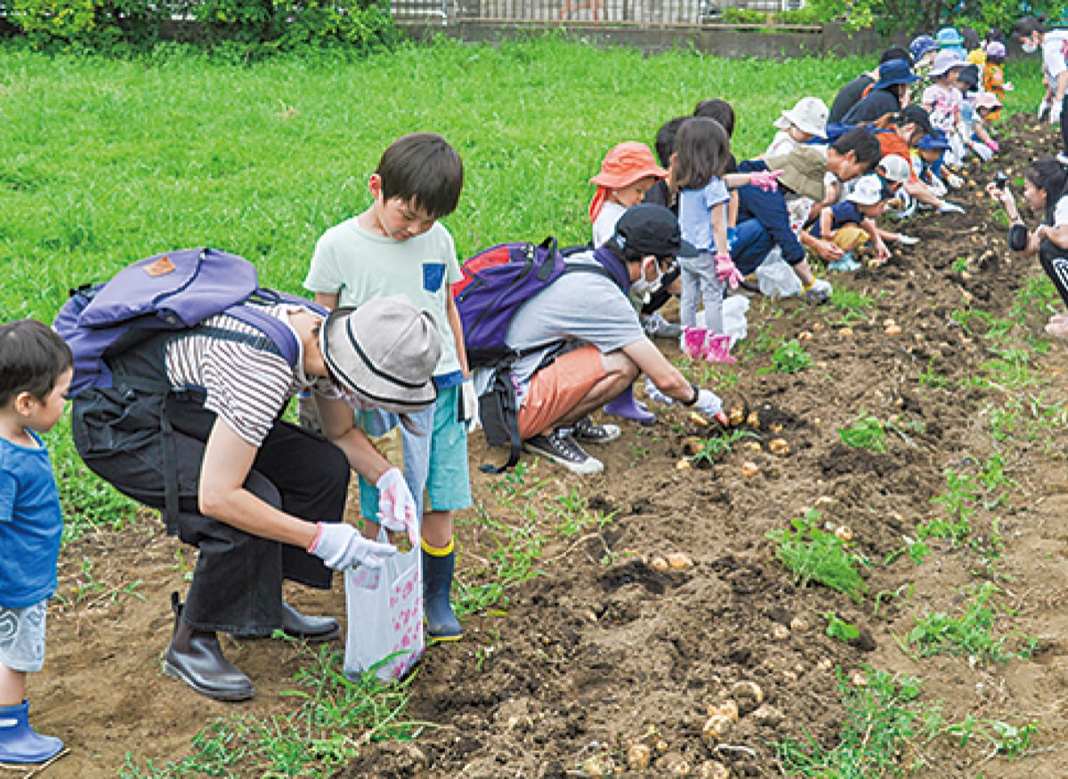 親子で元気に収穫