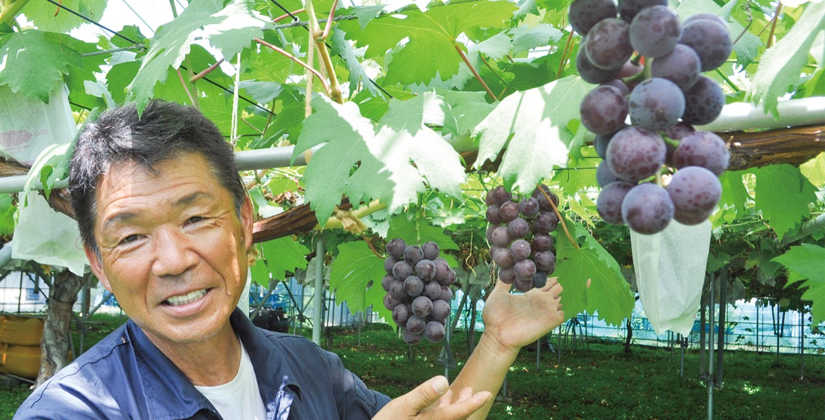 神山(こうやま)果樹園