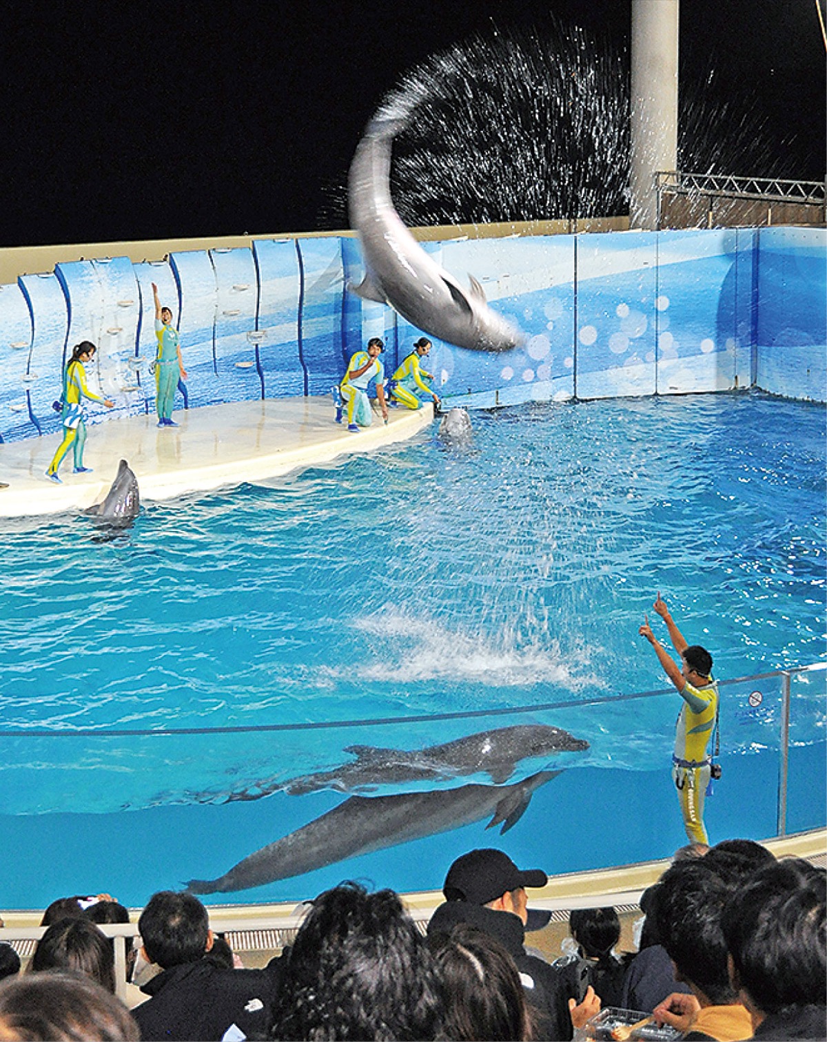 ｢えのすい｣全館貸切