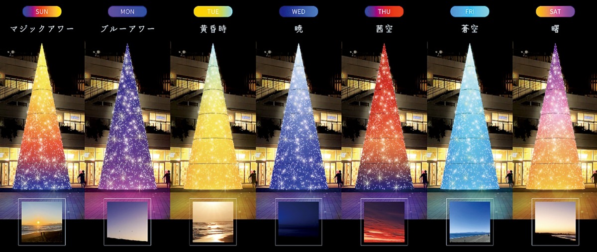 ツリー７種に光り輝く