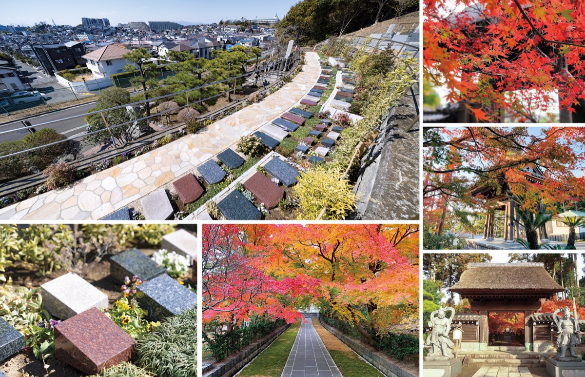 紅葉の季、秋めく境内