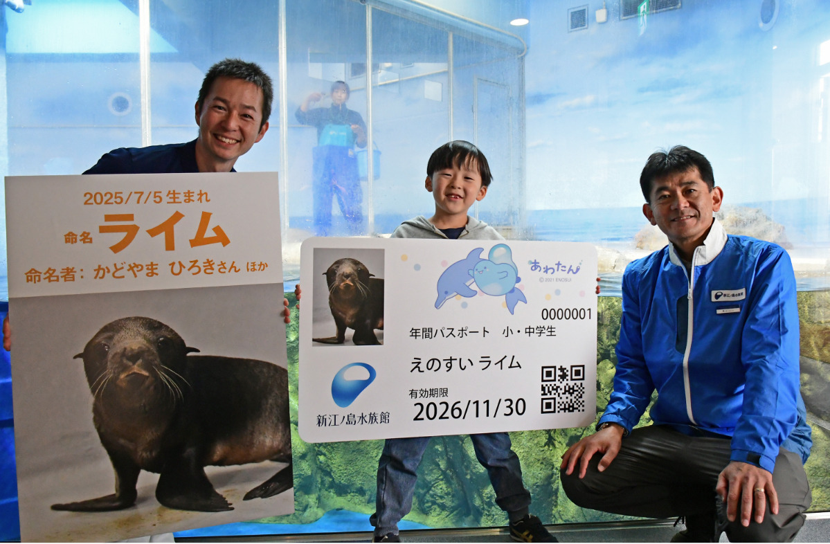 愛称は「ライム」