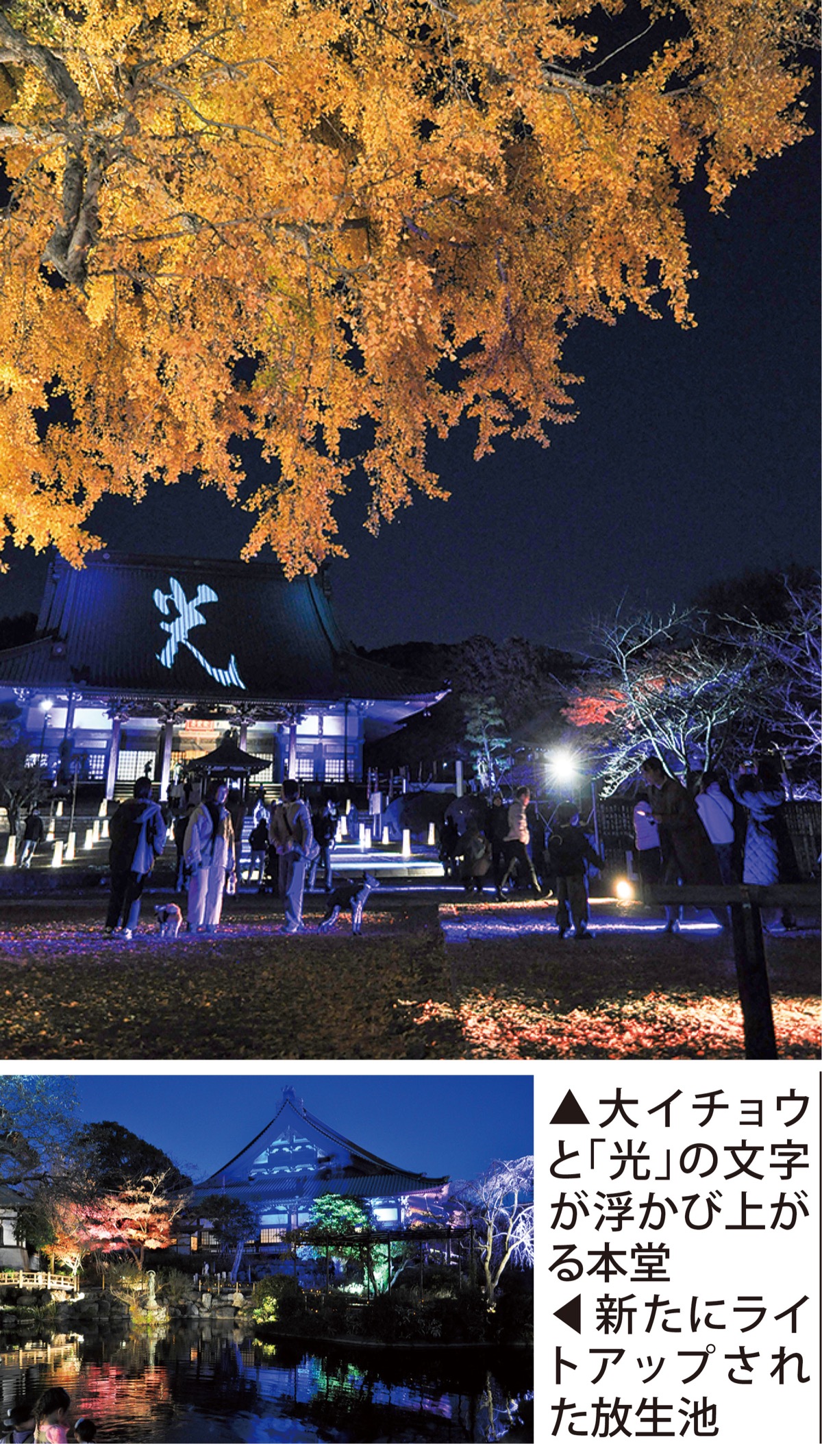 平和願い本堂に｢光｣