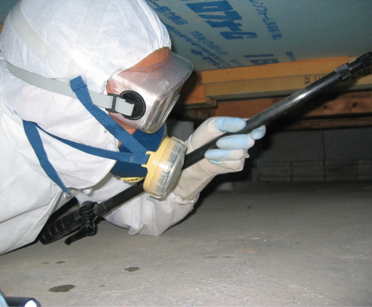 シロアリ対策は冬のうちに