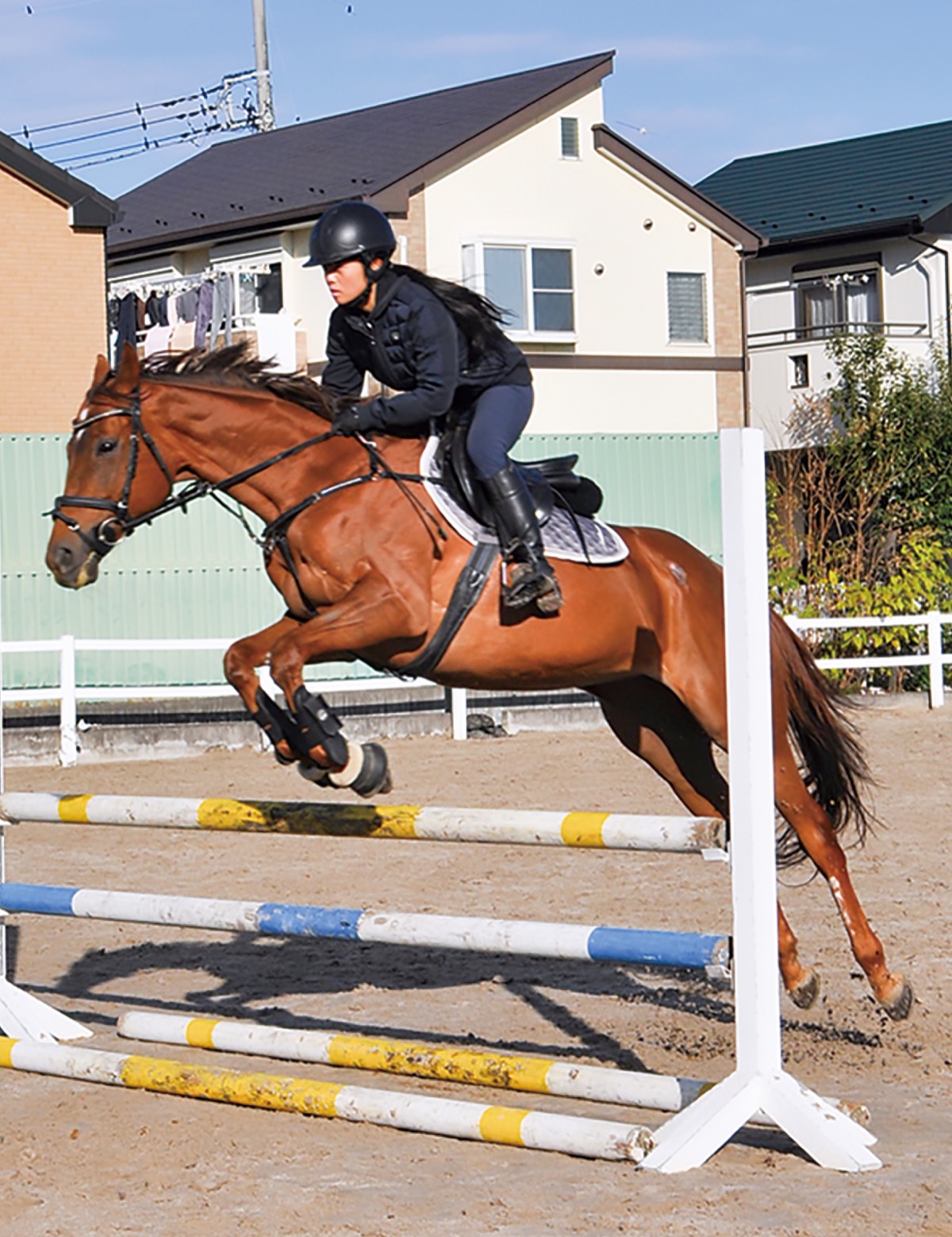 手綱が結ぶ、揺るぎない絆