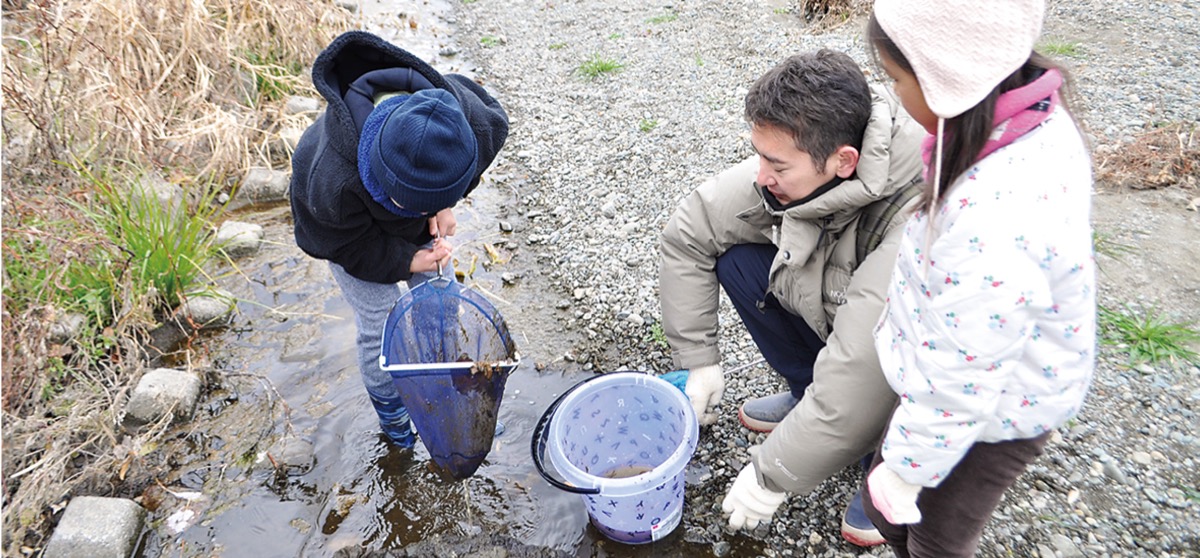 引地川の生物観察