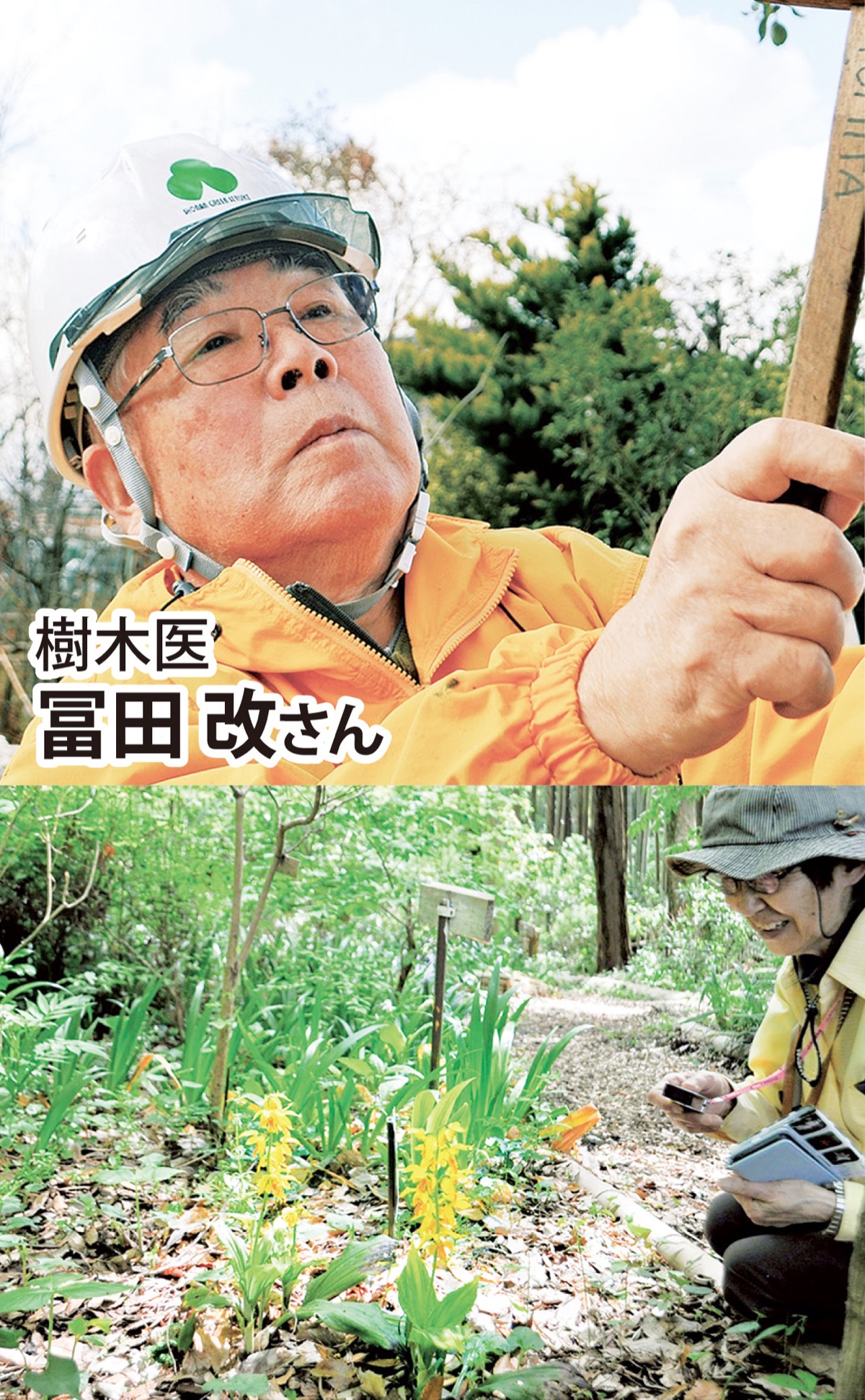 四季が彩る里山の風景