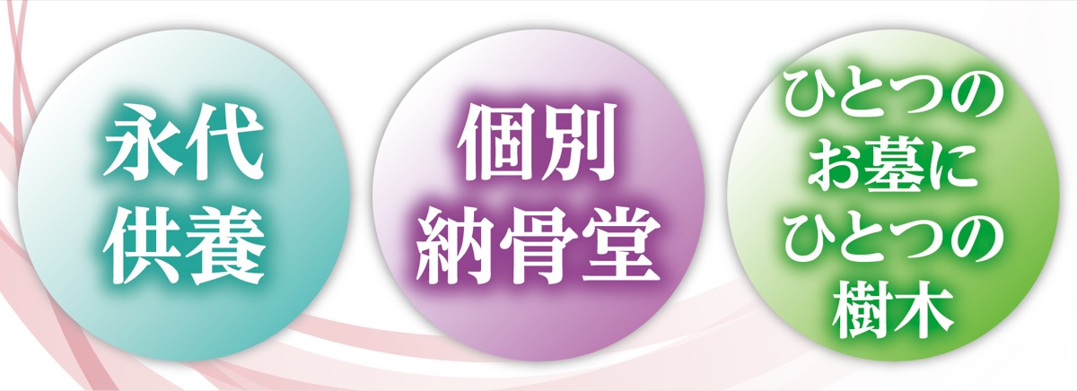 春光に包まれる里山 (写真2)